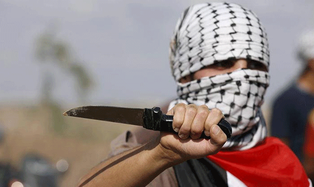 palestinian-knife-stubbing