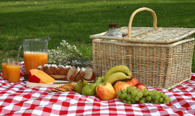 pic-nic