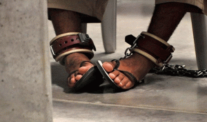 نقل 15 معتقلاً من غوانتانامو إلى الإمارات