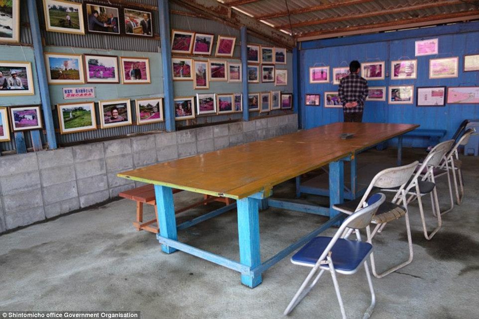 3158dc5600000578-3453325-new_life_the_old_sheds_where_the_couple_used_to_keep_their_herd_-a-71_1455820425081