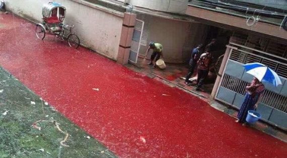 ae9123dc-a226-47f5-a5b3-db54915c5eca