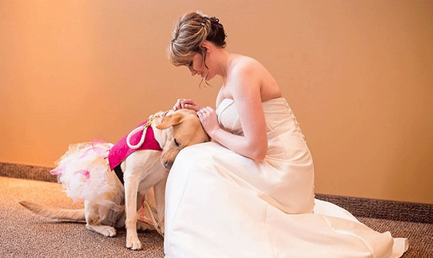 bride-and-dog