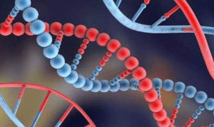 العلم يكتشف الجين الحامل لسرّ إطالة العمر