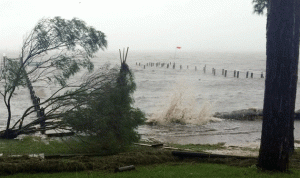 بالصور… “هرمين” ضرب فلوريدا ومخاوف من حصول فيضانات