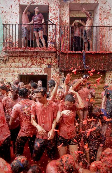 la tomatna 2