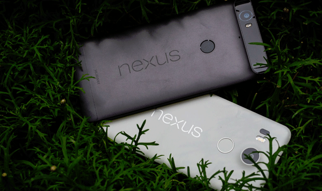 nexus