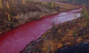 بالصور… لماذا تحول نهر روسي إلى لون الدم؟