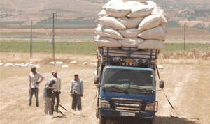 مزارعو القمح في البقاع: لحل فوري لأزمة القمح أو التصعيد
