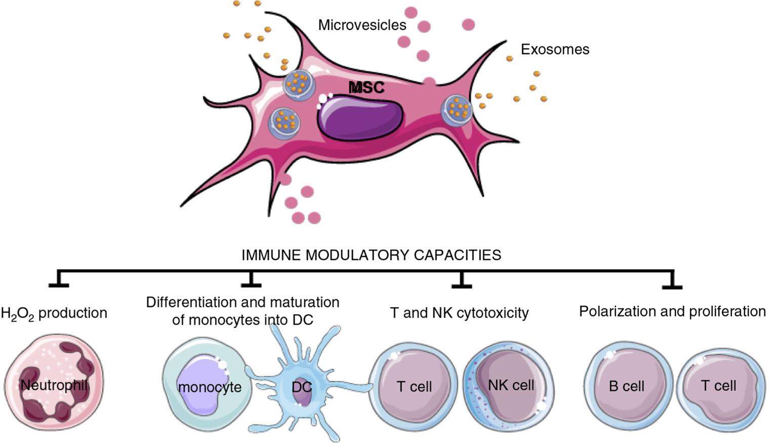 doi:10.3402/jev.v4.27066