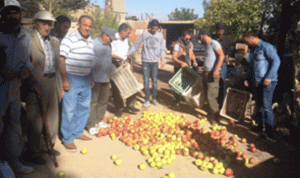 مزارعو التفاح في دار الواسعة يقطعون الطريق