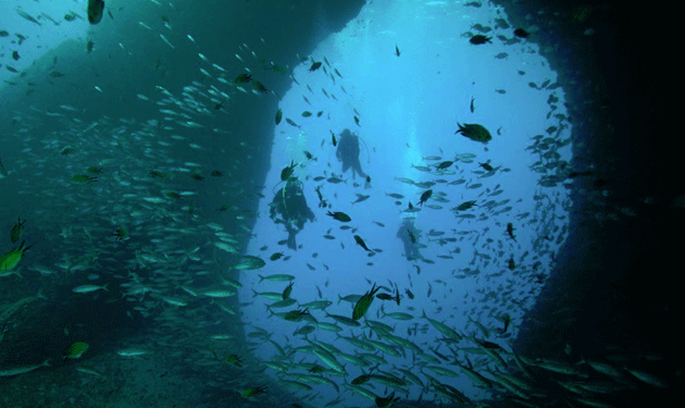 cave-water-fish