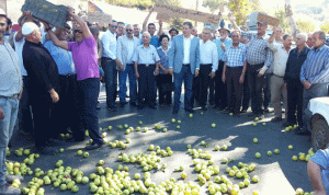 اعتصام لمزارعي التفاح في الشوف احتجاجاً على عدم تصريف المحصول