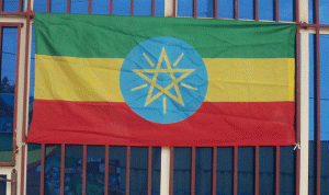 في إثيوبيا.. تظاهرة مناصرة للحكومة تنتقد الولايات المتحدة