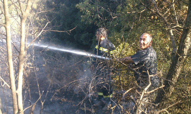 firefighters-civil-defense