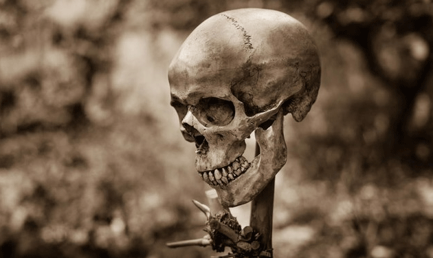 skull