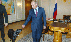 روسيا رفضت “كلب” اليابان!