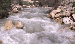 إرتفاع منسوب المياه في نهر الليطاني