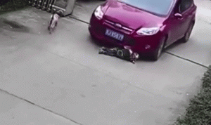 بالفيديو… سيارة تدهس طفلاً ويبقى حياً!