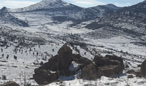 بالصورة … قذيفة هاون في أحراج كفرحونة