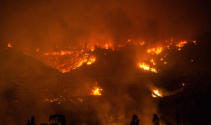 بالصور… مقتل 6 أشخاص في حريق الغابات في تشيلي
