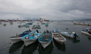 المكسيك… العثور على 12 جثة مشوّهة في ميناء سياحي