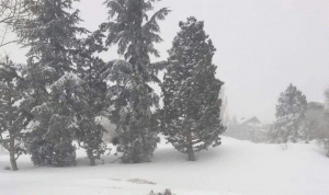 بالصور… الثلوج على الـ900م والطرقات مقطوعة!