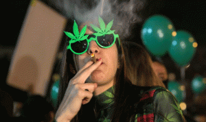 استخدام الماريجوانا أصبح قانونياً… في كاليفورنيا