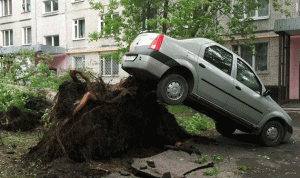 بالصور والفيديو… عاصفة قوية ضربت موسكو