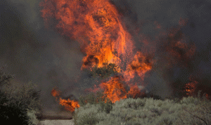 أوامر إجلاء إجبارية في كاليفورنيا بسبب حريق ضخم