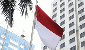 أندونيسيا تختار عاصمة جديدة
