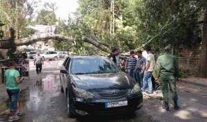 سقوط شجرة معمرة على سيارة في بعلبك
