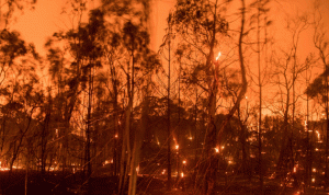 إخماد حرائق الغابات في كاليفورنيا يتواصل