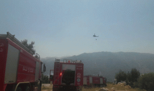 الدفاع المدني يواصل إخماد الحريق في محمية جبل موسى