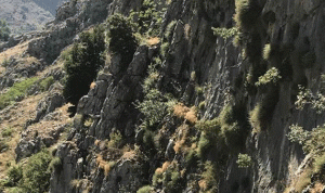 بالصور… باسيل يتسلق الجبال
