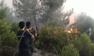 حريق كبير في جبل رشميا