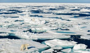 جليد القطب الشمالي قد يختفي بحلول 2040