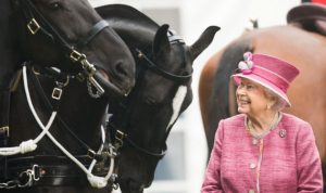 الملكة إليزابيث تجني من خيولها 7 ملايين إسترليني
