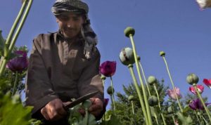أميركا تستهدف منشآت إنتاج المخدرات في أفغانستان