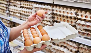البيض “مقطوع”… إلى أن يُرفع سعره!