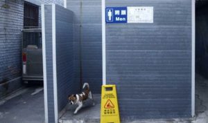 ثورة المراحيض مستمرة في الصين