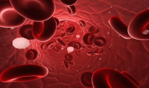 11 حقيقة غريبة عن الدم قد لاتعرفها