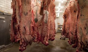 نقابة تجار اللحوم: لإعادة التسهيلات المصرفية لزوم تجارتنا