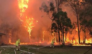 بالفيديو… حرائق عنيفة في غابات أستراليا