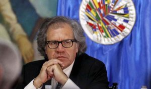 ألماغرو: الانتقال الرئاسي في كوبا غير شرعي