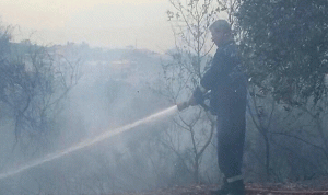 حريق يقضي على ألاف أمتار من أشجار الزيتون