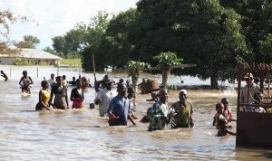 بالصور: النيجر تغرق… والقتلى بالعشرات
