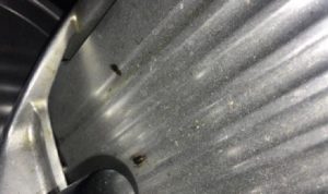 بالصور والفيديو: حشرات وصراصير في مطبخ مطعم في البترون!
