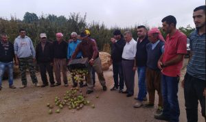 اعتصام لمزارعي التفاح في الضنية