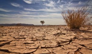 إيطاليا… إعلان حالة الطوارئ في 5 مناطق جراء الجفاف