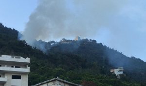 بالصور: حريق جديد في أحراج ساحل علما